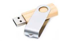 USB-Modell "Holz-Swing"