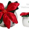 Displayreiniger Weihnachtsstern