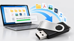 USB-Dienstleistungen